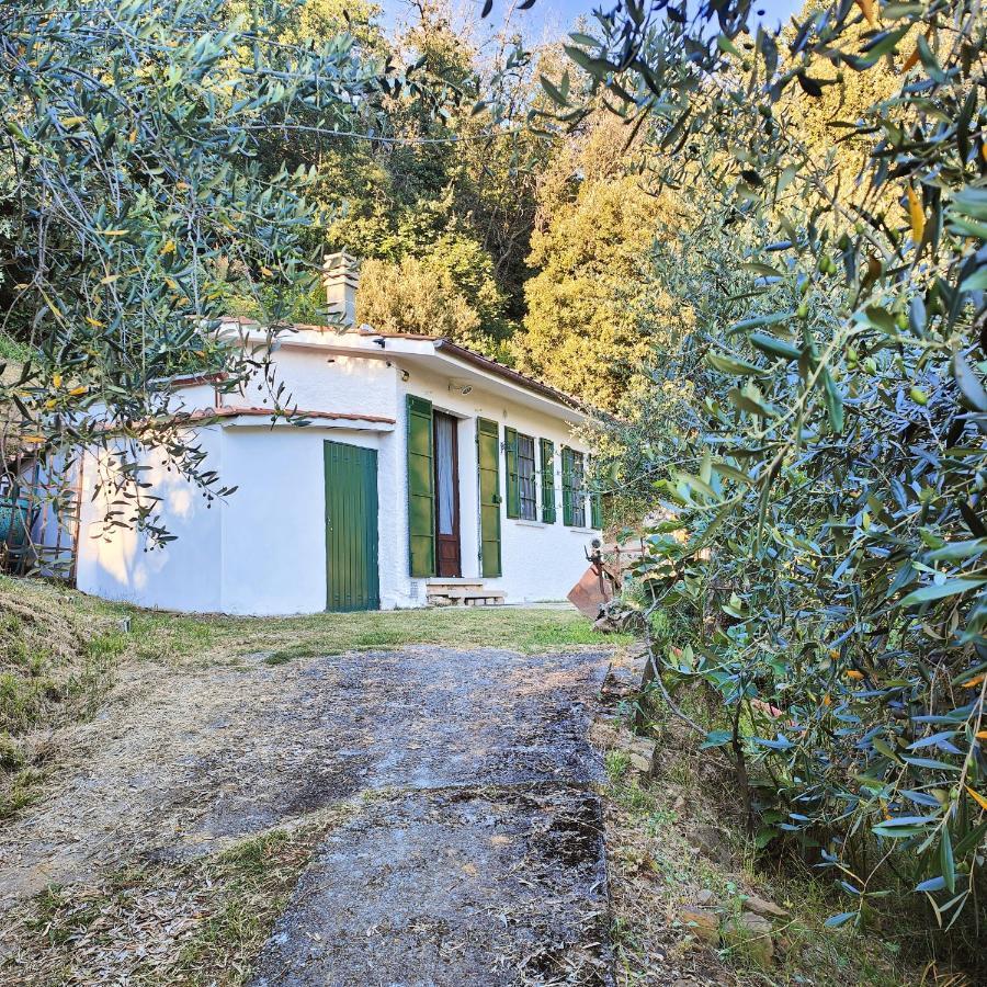Massaciuccoli Romana Zewnętrze zdjęcie
