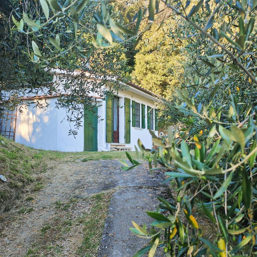 Massaciuccoli Romana Zewnętrze zdjęcie