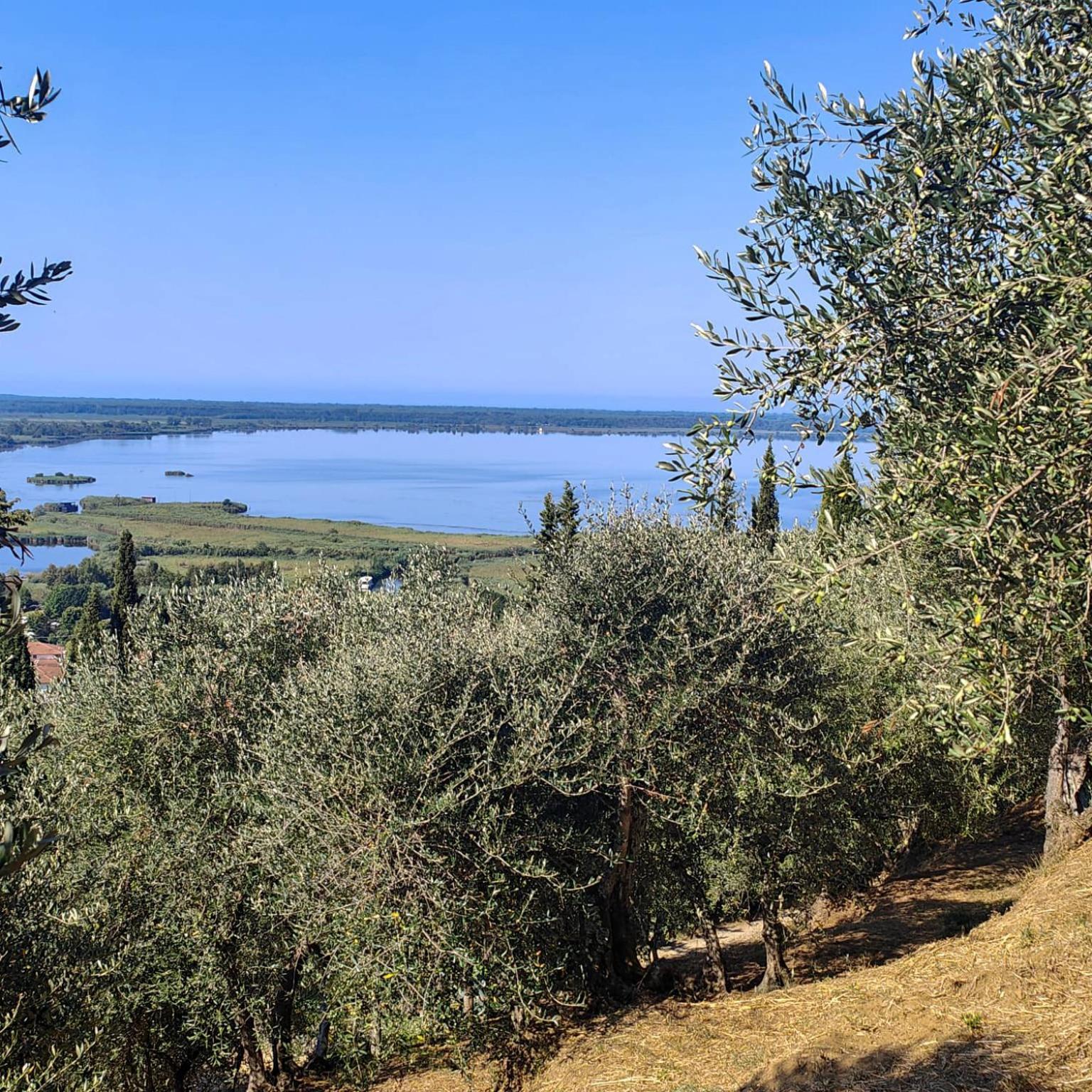 Massaciuccoli Romana Zewnętrze zdjęcie